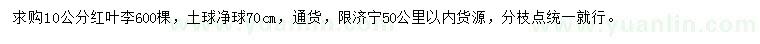 求購10公分紅葉李