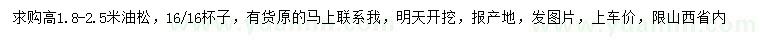 求購高1.8-2.5米油松