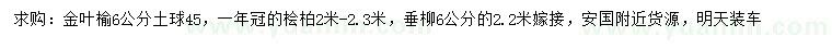 求購(gòu)金葉榆、檜柏、垂柳