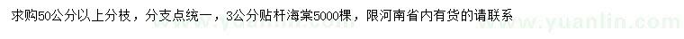 求購(gòu)3公分貼桿海棠