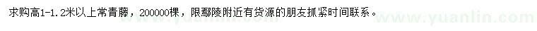 求購高1-1.2米以上常青藤