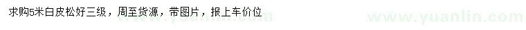 求購5米白皮松