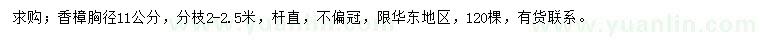 求購(gòu)胸徑11公分香樟