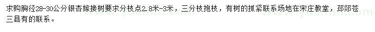 求購胸徑28-30公分銀杏