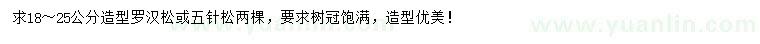求購18-25公分造型羅漢松或五針松