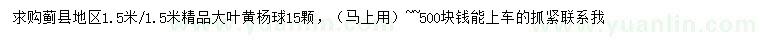 求購1.5米/大葉黃楊球