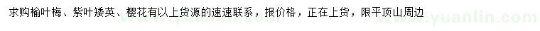 求購榆葉梅、紫葉矮英、櫻花
