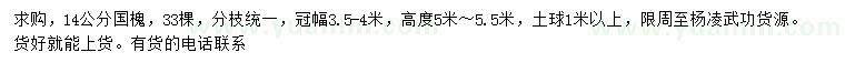 求購(gòu)14公分國(guó)槐