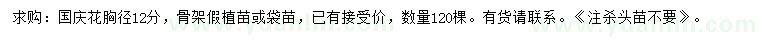 求購胸徑12分國慶花