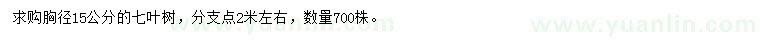 求購胸徑15公分七葉樹