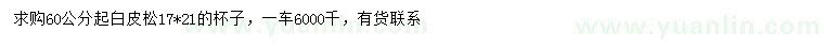 求購60公分起白皮松