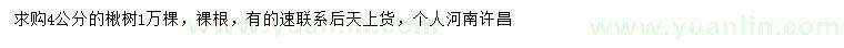 求購(gòu)4公分楸樹(shù)
