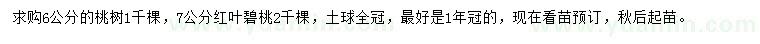 求購6公分桃樹、7公分紅葉碧桃