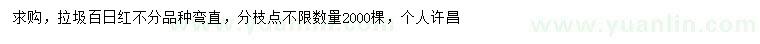 求購垃圾百日紅