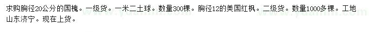 求購胸徑20公分國槐、胸徑12公分美國紅楓