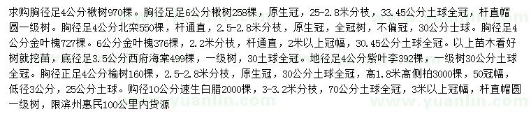 求購楸樹、北欒、金葉槐等