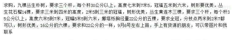 求購叢生樸樹、叢生花石榴、叢生黃連木等