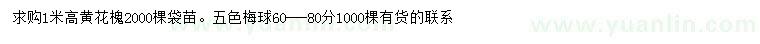 求購(gòu)高1米黃花槐、60-80公分五色梅球