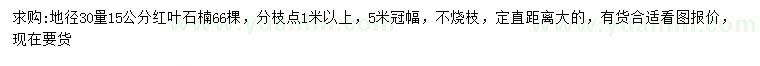 求購地徑30量15公分紅葉石楠