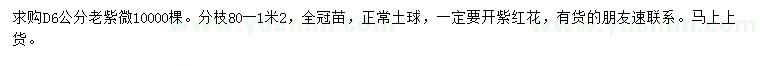 求購地徑6公分老紫微