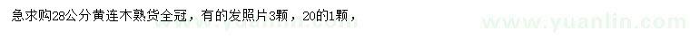 求購28公分黃連木