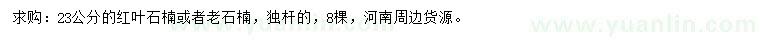 求購23公分紅葉石楠或老石楠