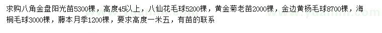 求購(gòu)八角金盤(pán)、八仙花毛球、黃金菊等