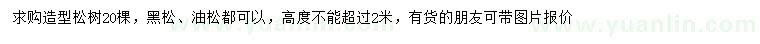求購松樹、黑松、油松