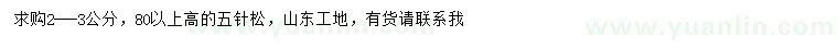 求購2-3公分五針松