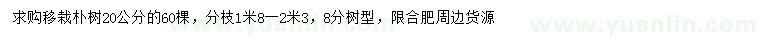 求購(gòu)20公分移栽樸樹(shù)