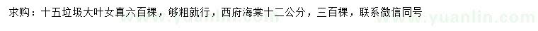 求購(gòu)15公分垃圾大葉女真、12公分西府海棠