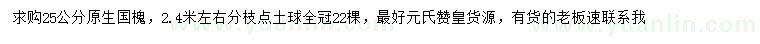 求購25公分國槐