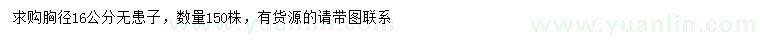 求購胸徑16公分無患子