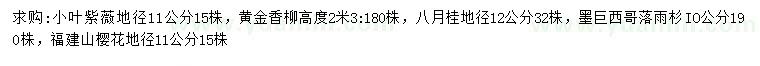 求購小葉紫薇、黃金香柳、八月桂等