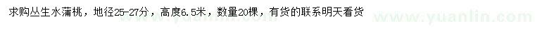 求購地徑25-27公分叢生水蒲桃