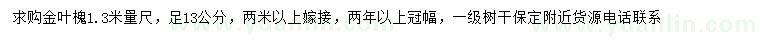 求購1.3米量足13公分金葉槐