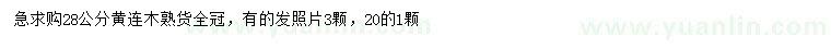 求購(gòu)20、28公分黃連木