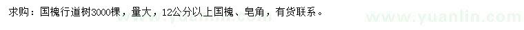 求購(gòu)12公分以上國(guó)槐、皂角