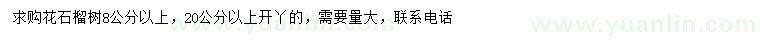 求購(gòu)8公分以上花石榴