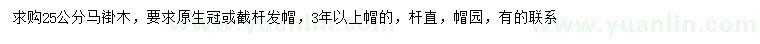 求購25公分馬褂木