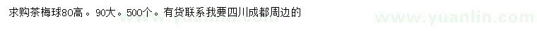 求購(gòu)高80公分茶梅球