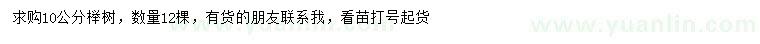 求購10公分櫸樹