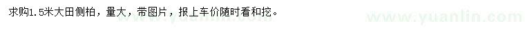 求購1.5米側(cè)柏