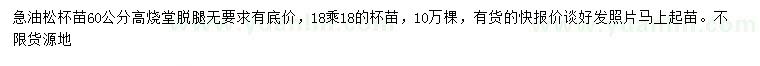 求購高60公分油松