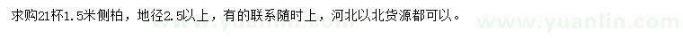 求購1.5米側柏