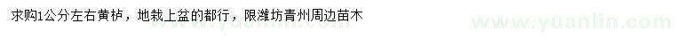 求購(gòu)1公分左右黃櫨