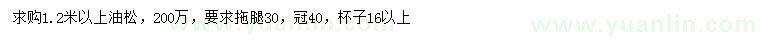 求購1.2米以上油松