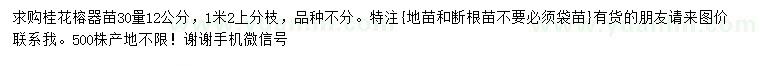 求購30量12公分桂花