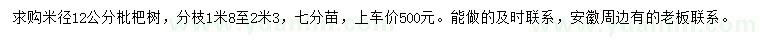 求購(gòu)米徑12公分枇杷樹(shù)