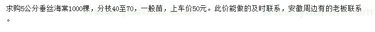 求購5公分垂絲海棠